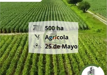 510 Ha Mixta - De La Riestra - 25 de Mayo