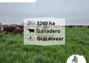 3275 ha ganaderas - general alvear