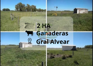 2 ha Ganaderas - Alvear