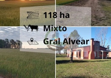 119 ha MIxtas - Gral Alvear