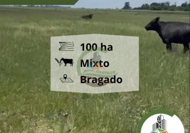 110 ha mixtas - bragado