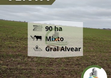 93 ha mixtas - General alvear