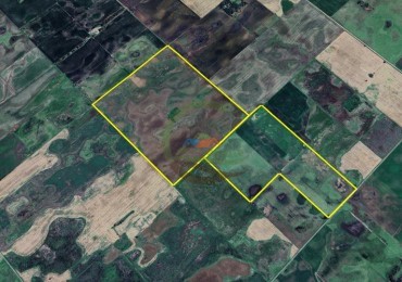 159 Ha Agricolas - Pehuajo - Mones Cazon
