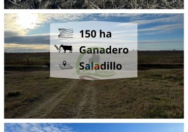 150 ha Mixtas - Polvaredas