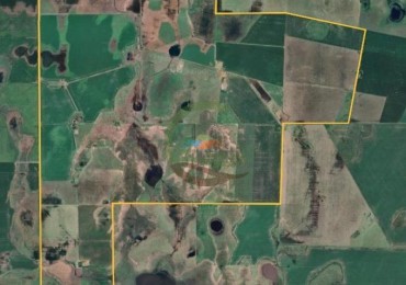 1370 HA Mixta - Vicuña Mackena