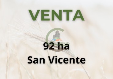 92 ha agricolas - san vicente