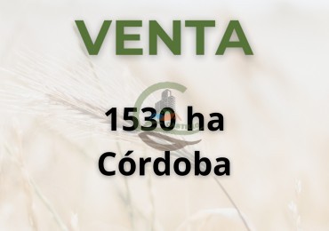 1530 ha agricolas - cordoba 