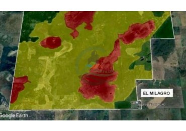 3290 ha Mixtas - Carlos Tejedor
