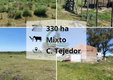 331 ha mixto - carlos tejedor