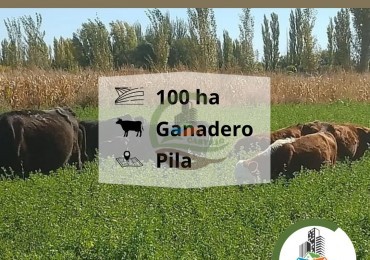 103 ha ganadera - pila