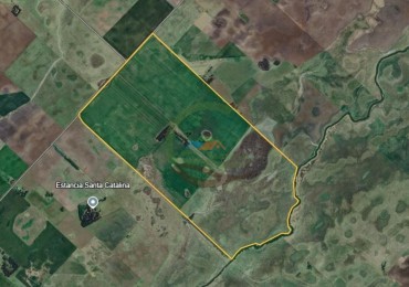 330 Ha Mixto - Bolivar