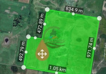 92 Ha Mixto Hale - Bolivar
