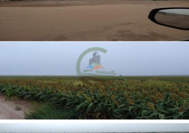4372 ha Agricolas - San Luis