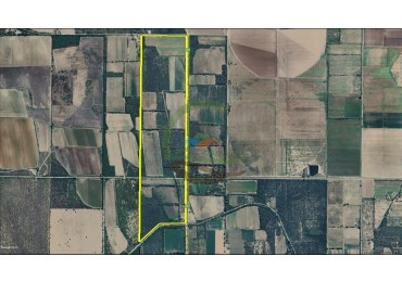 100 Ha Agricolas - San Pedro - Cordoba