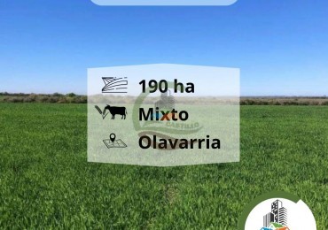 198 Mixto - Olavarria