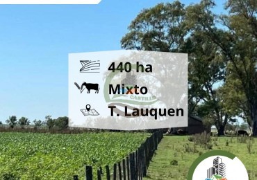 441 mixtas - trenque lauquen