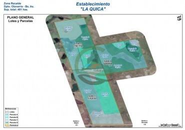 461 Ha Mixto - Recalde