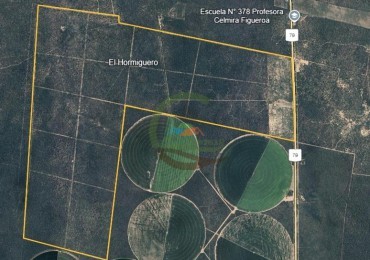 927 Ha Mixto - El Hormiguero - San Luis