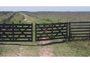 1900 Ha Mixto - Laboulaye - Cordoba