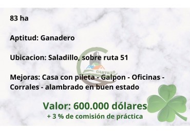 83 ha Ganadero - Saladillo