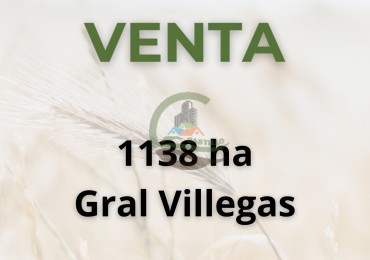 1138 ha agricolas - gral villegas