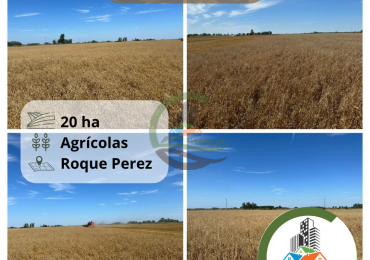 20 ha agricolas - roque perez 