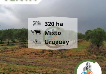 320 ha mixtas - uruguay