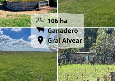 106 ha ganadero - gral alvear