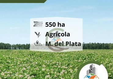 550 ha agricolas - mar del plata