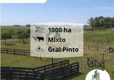 1012 ha Mixto - Gral Pinto