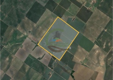 223 Ha Agricolas -  Gigena - Cordoba