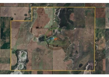 1135 Ha Mixto - Dorila - Mara Co - La Pampa