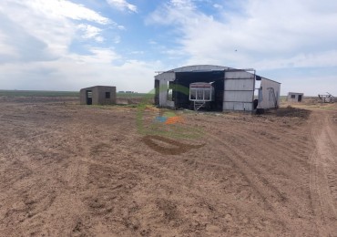 800 Ha Agricolas - Rufino - Santa Fe