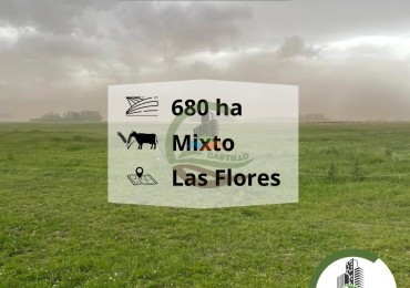 675 ha mixto - las flores