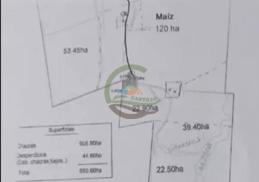 550 Ha Mixto - Concordia - Entre Rios