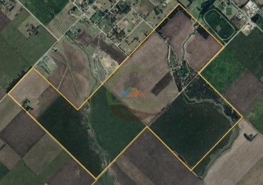 390 Ha Agricolas - Loberia