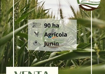 87 ha Agricolas - Junin