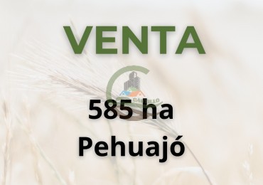 585 ha mixtas - pehuajo