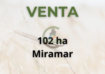 102 ha Mixtas - mechongue