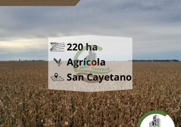 220 ha agricolas - san cayetano