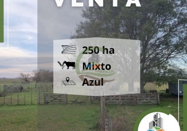 253 ha Mixto-- Azul