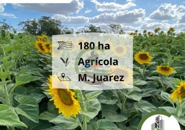 180 Ha Agricolas - Marcos Juarez - Cordoba 