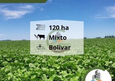 125 Ha MIxto - Bolivar