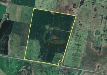114 Ha Agricolas - Balsa - Lincoln 