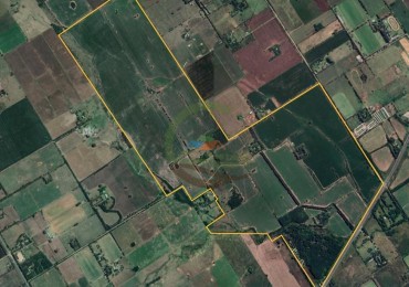 401 Ha Mixto - Lujan 