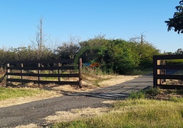 2200 Ha Agricolas - Laboulaye - Cordoba