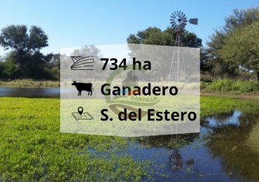 734 ha Ganadero - Santiago del Estero