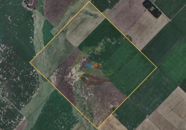 338 Ha Mixto - San Cayetano 