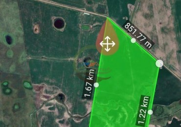 100 Ha Mixtas - Santa Isabel - Gral Alvear