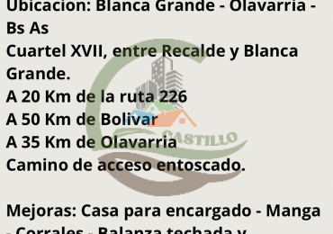1363 ha Mixta - Olavarria 